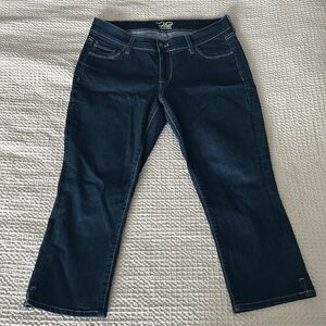 Old Navy The Flirt Cropped Jeans